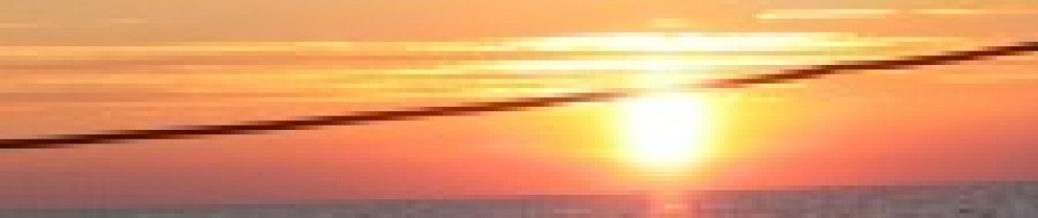 cropped-rojin.jpg